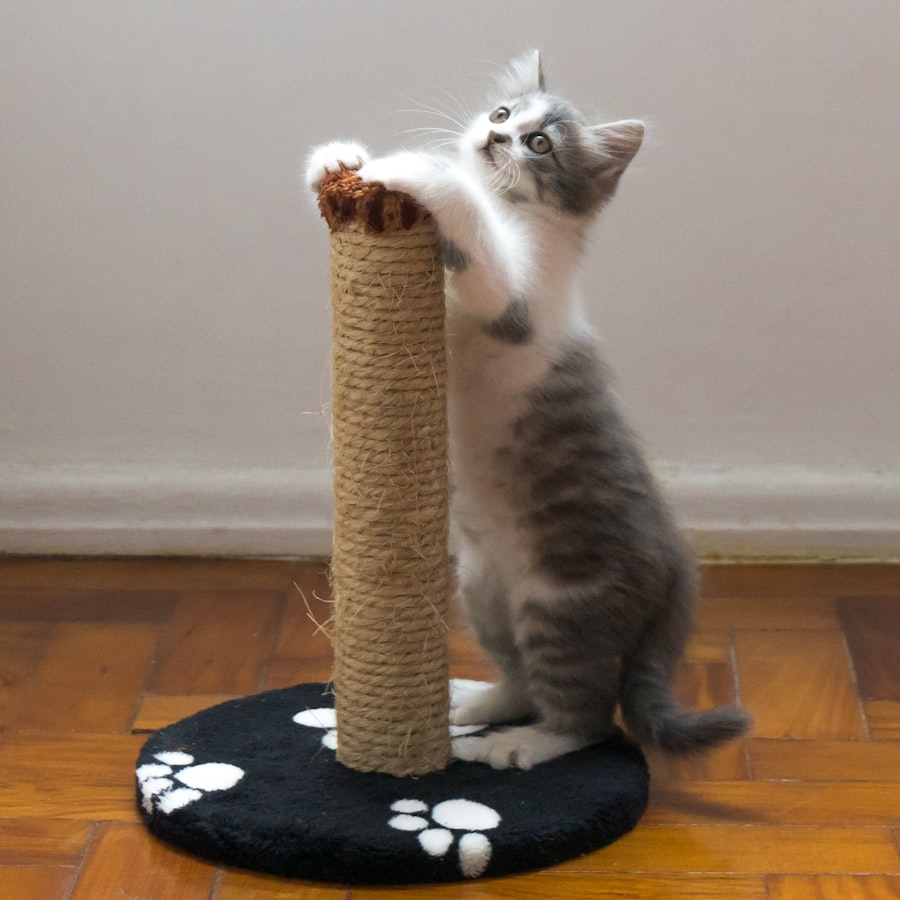 Kedi Tırmalama Tahtası