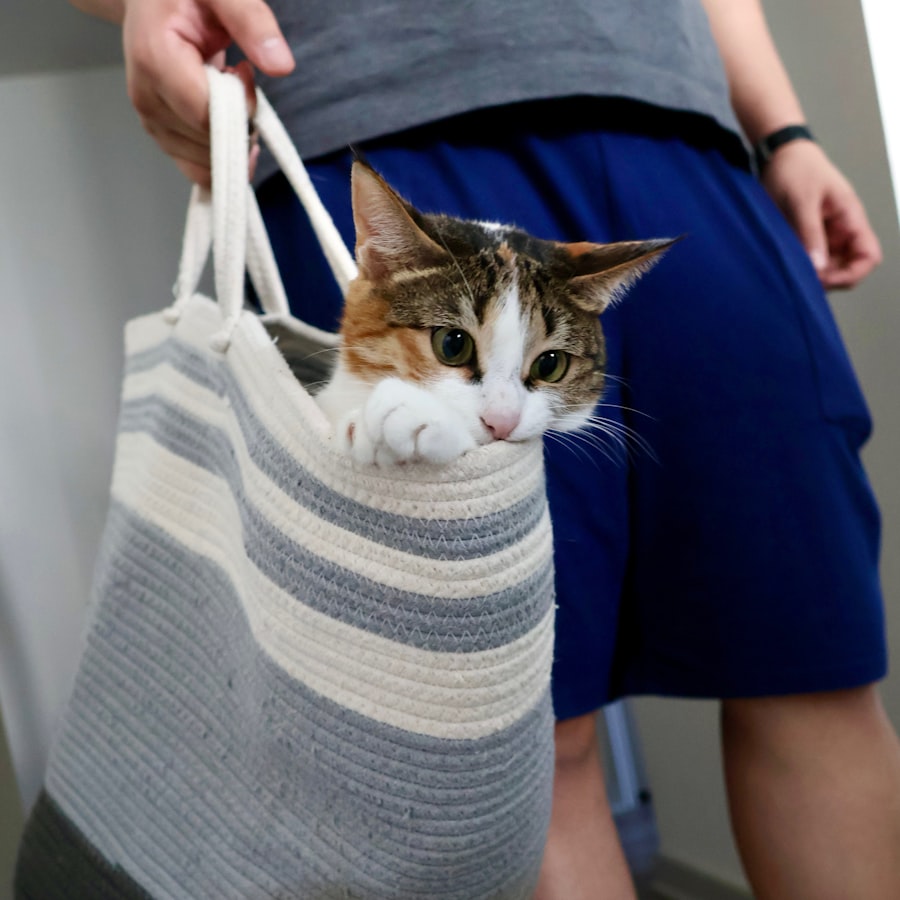 Kedi Taşıma Çantası