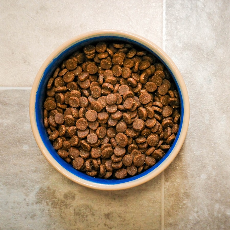 Yetişkin Köpek Maması 12 kg