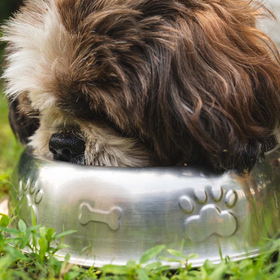 Yavru Köpek Maması 3 kg