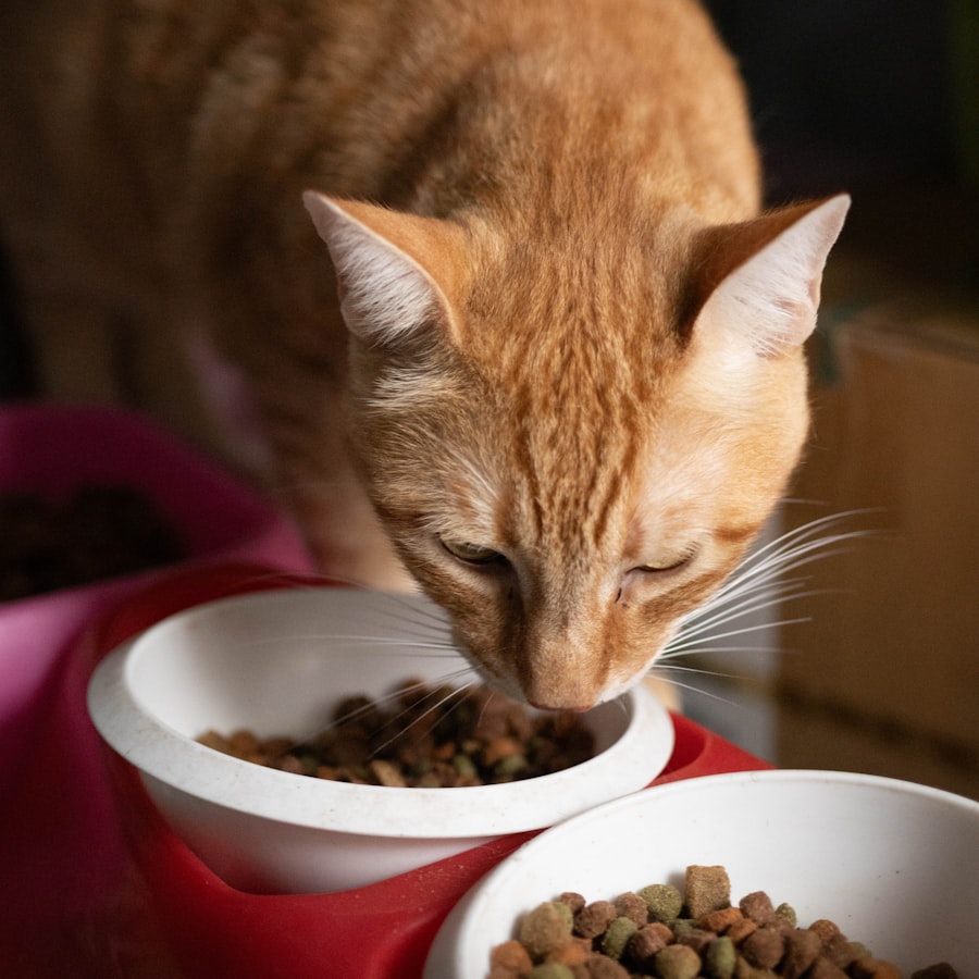 Kısırlaştırılmış Kedi Maması 10 kg